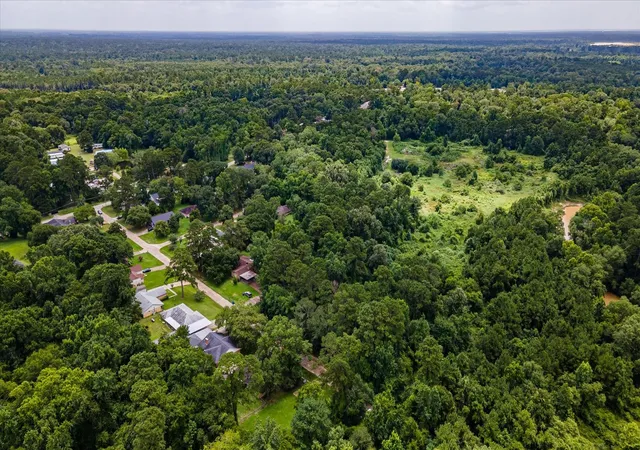 Homes for sale in New Caney, TX | 0 Alpestrine Dr, New Caney, TX 77357 | MLS# 85717280