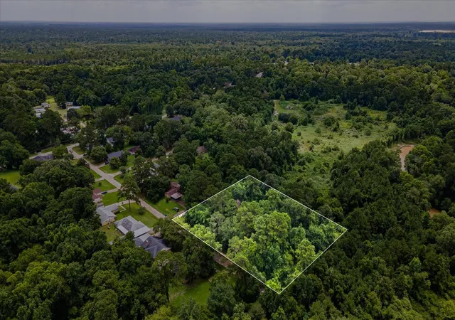 Homes for sale in New Caney, TX | 0 Alpestrine Dr, New Caney, TX 77357 | MLS# 85717280