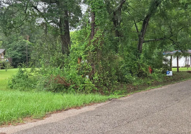 Photo 3 of Land for sale at 0 Mckeller Ave, Cleveland, TX 77327 | MLS# 57889864 | Listing updated on 2026-06-06