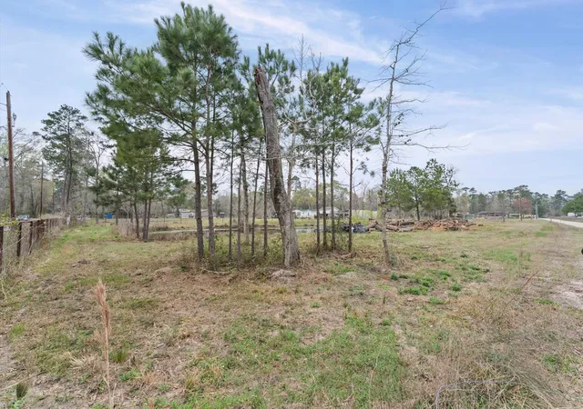 Photo 3 of Land for sale at 16851 Payne Rd, Conroe, TX 77302 | MLS# 12122187 | Listing updated on 2026-03-07