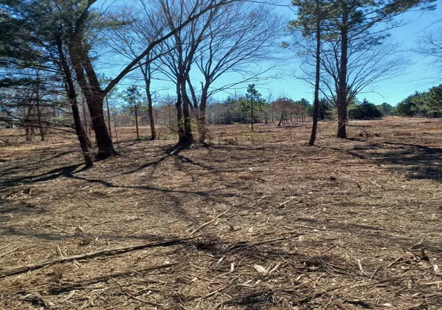 2nd image of 3173 County Road 415, Tyler, TX 75704 | MLS# 49537565