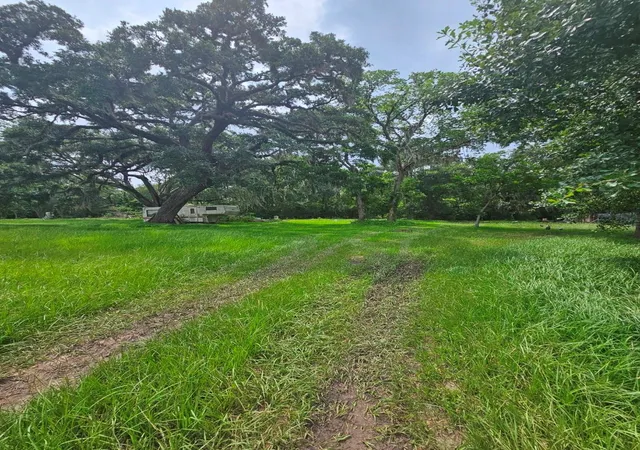 2nd image of 19280 Hwy 35, Sweeny, TX 77480 | MLS# 48625237
