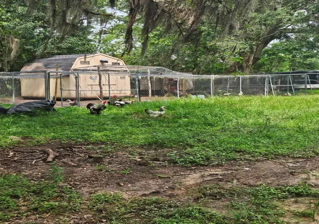Photo 4 of Land for sale at 19280 Highway 35, Sweeny, TX 77480 | MLS# 48625237 | Listing updated on 2026-06-24