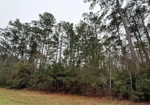 Photo 2 of Land for sale at 10213 S Autumn Leaf Cir, Magnolia, TX 77354 | MLS# 96792412 | Listing updated on 2026-06-01
