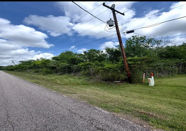 Photo 1 of Sale Pending at 0 County Rd 356, Brazoria, TX 77422 | MLS# 98705832 | Listing updated on 2026-08-20