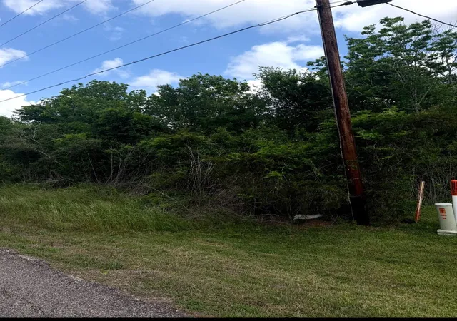 Photo 2 of Sale Pending at 0 County Rd 356, Brazoria, TX 77422 | MLS# 98705832 | Listing updated on 2026-08-20