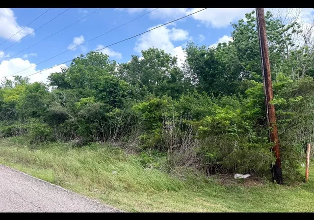Photo 3 of Sale Pending at 0 County Rd 356, Brazoria, TX 77422 | MLS# 98705832 | Listing updated on 2026-08-20