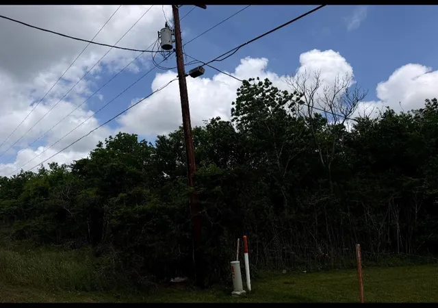 Photo 3 of Sale Pending at 0 County Rd 356, Brazoria, TX 77422 | MLS# 98705832 | Listing updated on 2026-08-20