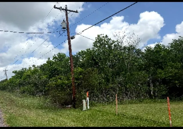 Photo 4 of Sale Pending at 0 County Rd 356, Brazoria, TX 77422 | MLS# 98705832 | Listing updated on 2026-08-20