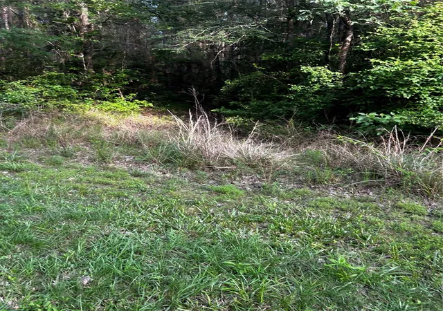 50th image of 0 County Line Rd, Shepherd, TX 77371 | MLS# 40757639