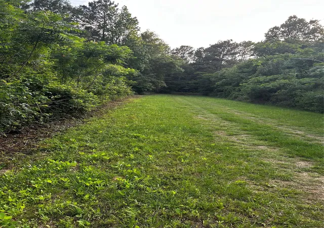 5th image of 0 County Line Rd, Shepherd, TX 77371 | MLS# 40757639