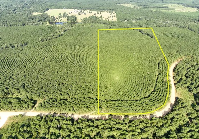 Photo 1 of Land for sale at 00 Shady Grove Rd, Woodville, TX 75979 | MLS# 71937505 | Listing updated on 2026-08-07