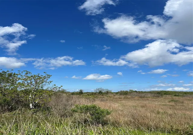 Photo 3 of Land for sale at 0 Loop 197, Texas City, TX 77590 | MLS# 92143038 | Listing updated on 2026-04-01