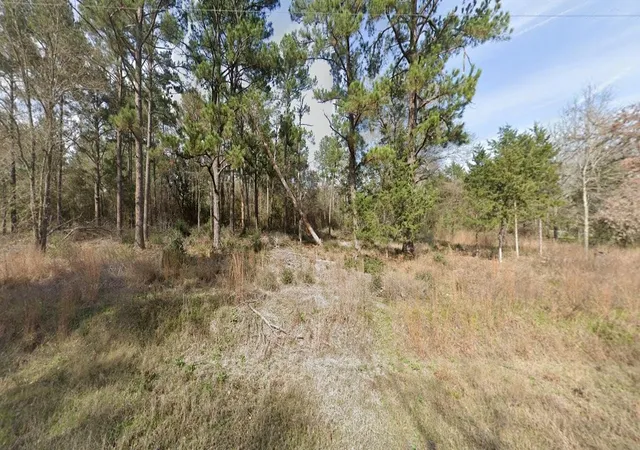 Homes for sale in Bedias, TX | 2699 County Road 144, Bedias, TX 77831 | MLS# 66902177