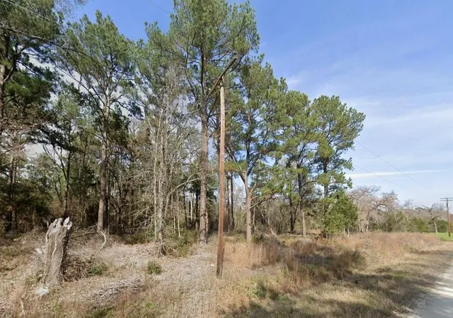 Homes for sale in Bedias, TX | 2699 County Road 144, Bedias, TX 77831 | MLS# 66902177