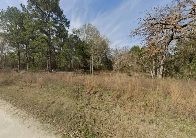 Homes for sale in Bedias, TX | 2699 County Road 144, Bedias, TX 77831 | MLS# 66902177