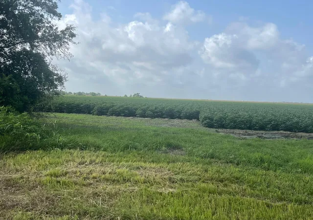 1st image of 10815 Koym Rd, Beasley, TX 77417 | MLS# 84598908