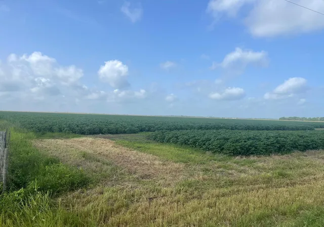 Photo 3 of Land for sale at 10815 Koym Rd, Beasley, TX 77417 | MLS# 84598908 | Listing updated on 2026-08-05