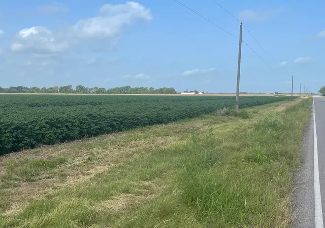Photo 4 of Land for sale at 10815 Koym Rd, Beasley, TX 77417 | MLS# 84598908 | Listing updated on 2026-08-05