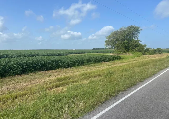 8th image of 10815 Koym Rd, Beasley, TX 77417 | MLS# 84598908