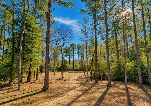 Photo 1 of Land for sale at 17819 Indigo Hills Dr, Magnolia, TX 77355 | MLS# 87781891 | Listing updated on 2026-08-25