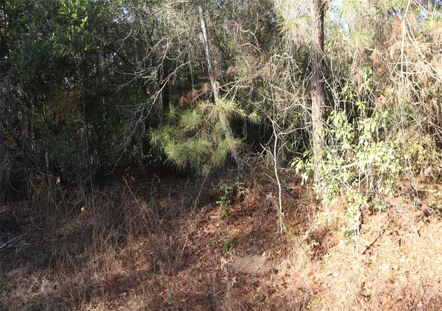 Photo 1 of Land for sale at 0 Pin Tail Dr, Coldspring, TX 77331 | MLS# 43844210 | Listing updated on 2026-04-27