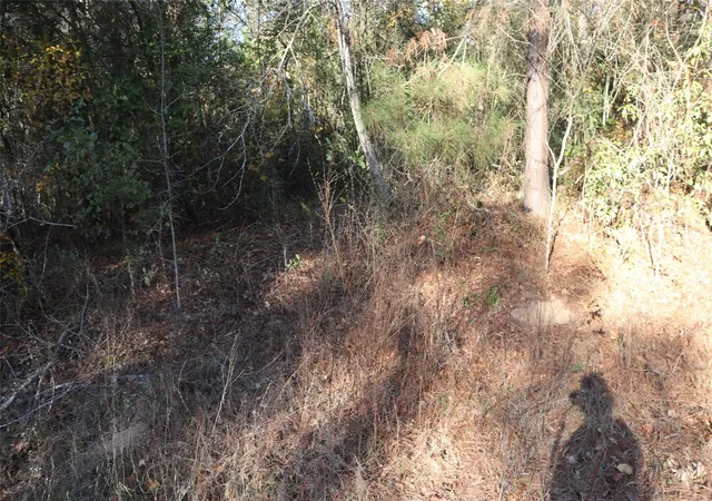 Photo 2 of Land for sale at 0 Pin Tail Dr, Coldspring, TX 77331 | MLS# 43844210 | Listing updated on 2026-04-27