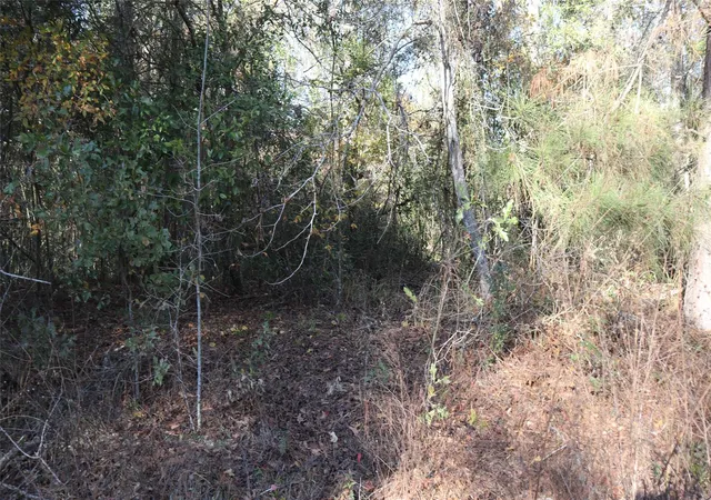 Photo 2 of Land for sale at 0 Pin Tail Dr, Coldspring, TX 77331 | MLS# 43844210 | Listing updated on 2026-04-27