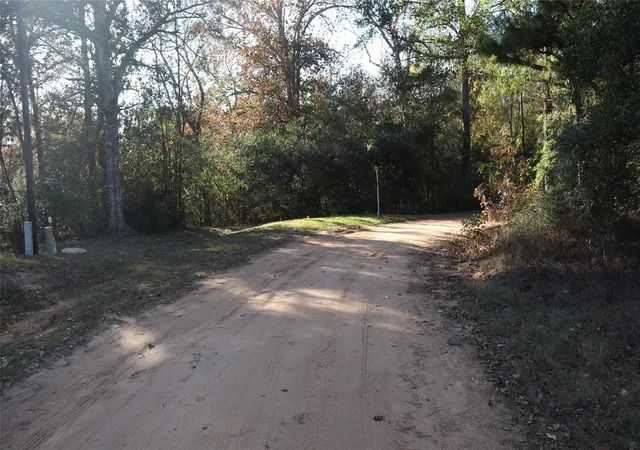 Photo 3 of Land for sale at 0 Pin Tail Dr, Coldspring, TX 77331 | MLS# 43844210 | Listing updated on 2026-04-27
