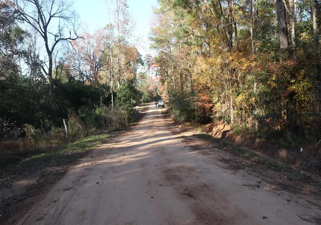 Photo 7 of Land for sale at 0 Pin Tail Dr, Coldspring, TX 77331 | MLS# 43844210 | Listing updated on 2026-04-27