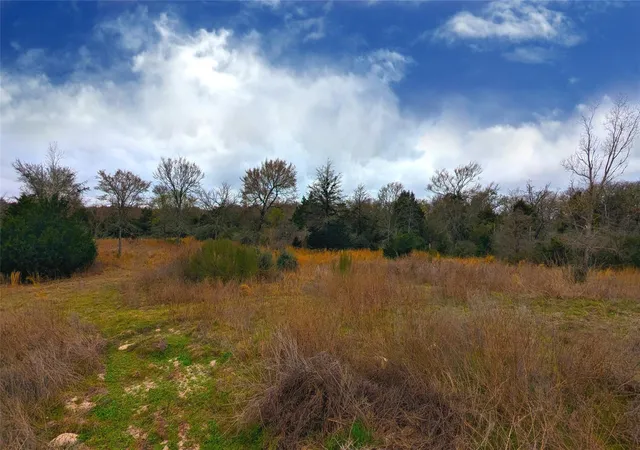 5th image of 00 Fm-937, Groesbeck, TX 76642 | MLS# 40401092