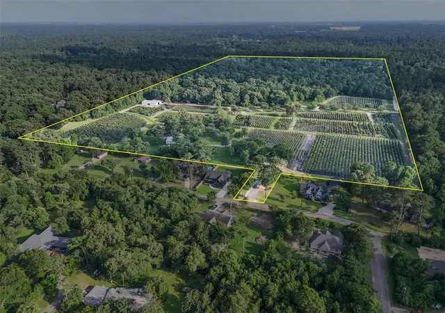 Photo 3 of Land for sale at 15629 Knotty Oaks Trl, Magnolia, TX 77355 | MLS# 54875524 | Listing updated on 2026-09-16