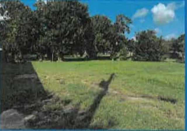 2nd image of 202 Texas Pkwy, Missouri City, TX 77489 | MLS# 61830289