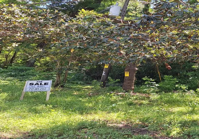 3rd image of 0 Woodland Lakes Dr, Shepherd, TX 77371 | MLS# 57119831