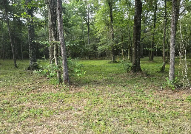 Photo 17 of Land for sale at 000 Tbd Hwy 150 W, Coldspring, TX 77331 | MLS# 24152342 | Listing updated on 2026-09-14