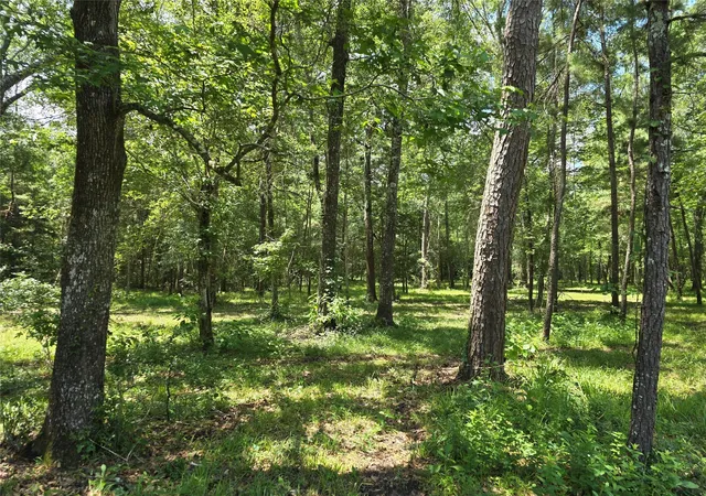 Photo 1 of Land for sale at 000 Tbd Hwy 150 W, Coldspring, TX 77331 | MLS# 24152342 | Listing updated on 2026-09-14