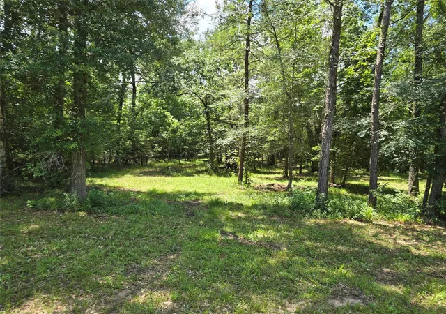 Photo 3 of Land for sale at 000 Tbd Hwy 150 W, Coldspring, TX 77331 | MLS# 24152342 | Listing updated on 2026-09-14