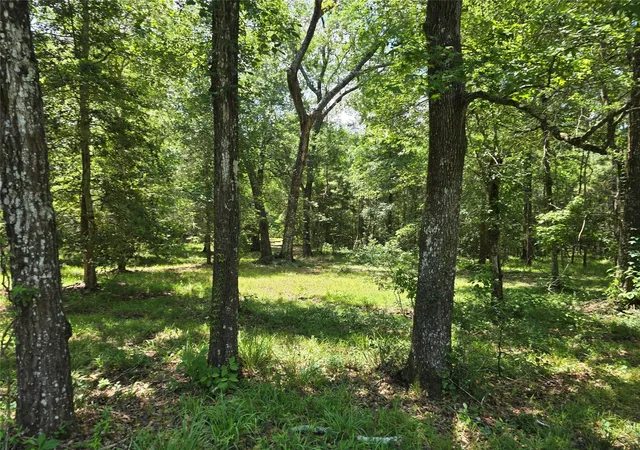 Photo 4 of Land for sale at 000 Tbd Hwy 150 W, Coldspring, TX 77331 | MLS# 24152342 | Listing updated on 2026-09-14