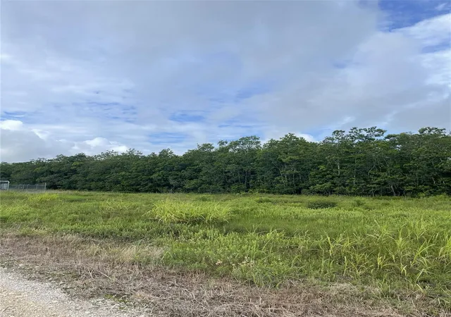 Photo 1 of Land for sale at 3021 County Rd 62 Off, Rosharon, TX 77583 | MLS# 73563413 | Listing updated on 2026-07-29