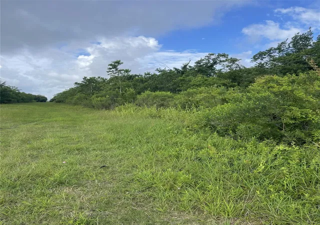 Photo 2 of Land for sale at 3021 County Rd 62 Off, Rosharon, TX 77583 | MLS# 73563413 | Listing updated on 2026-07-29