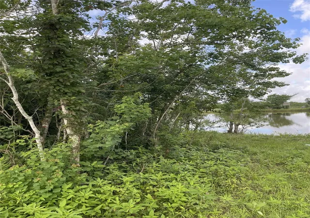 Photo 2 of Land for sale at 3021 County Rd 62 Off, Rosharon, TX 77583 | MLS# 73563413 | Listing updated on 2026-07-29