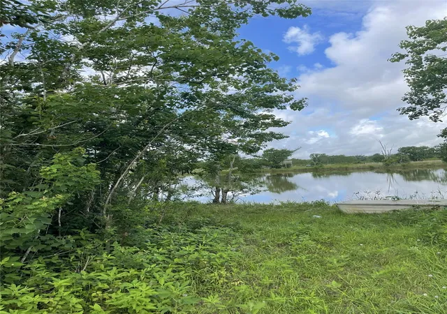 Photo 3 of Land for sale at 3021 County Rd 62 Off, Rosharon, TX 77583 | MLS# 73563413 | Listing updated on 2026-07-29