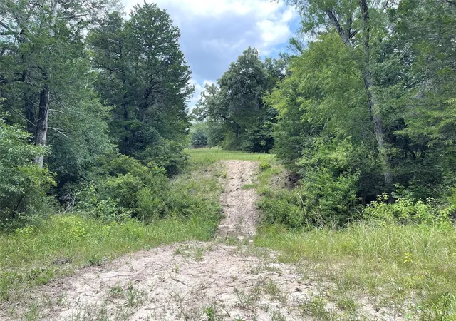 Photo 4 of Land for sale at 108 Fcr 525, Fairfield, TX 75840 | MLS# 63178777 | Listing updated on 2026-07-31