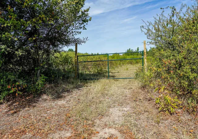 Photo 3 of Land for sale at Lot 3 Cr 1584, Avinger, TX 75630 | MLS# 39922450 | Listing updated on 2026-08-26