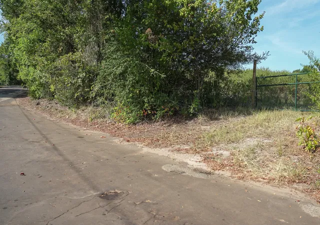 Photo 4 of Land for sale at Lot 3 Cr 1584, Avinger, TX 75630 | MLS# 39922450 | Listing updated on 2026-08-26