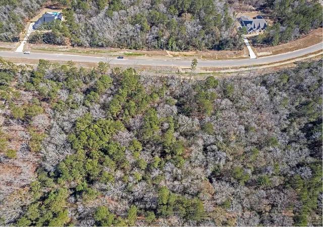Photo 4 of Land for sale at 16169 Ridge Oak Dr, Willis, TX 77378 | MLS# 9284330 | Listing updated on 2026-08-13