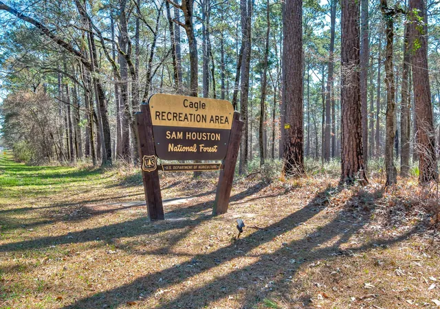 10th image of Lot 13 Homestead Hill Rd, New Waverly, TX 77358 | MLS# 71837814