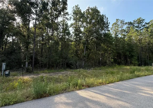 Photo 1 of Land for sale at 202 County Rd 6311, Dayton, TX 77535 | MLS# 26701160 | Listing updated on 2026-06-22