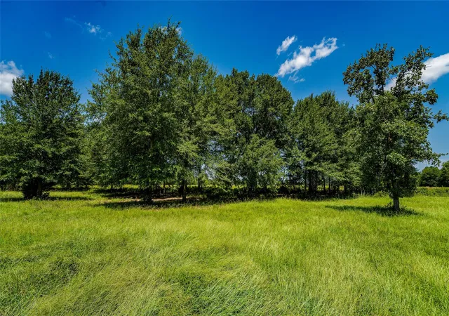 Land for sale at Tbd Cr 357, Gause, TX 77857 | MLS# 24488646