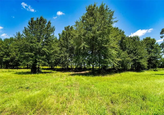 Photo 3 of Land for sale at Tbd Cr 357, Gause, TX 77857 | MLS# 24488646 | Listing updated on 2026-07-31
